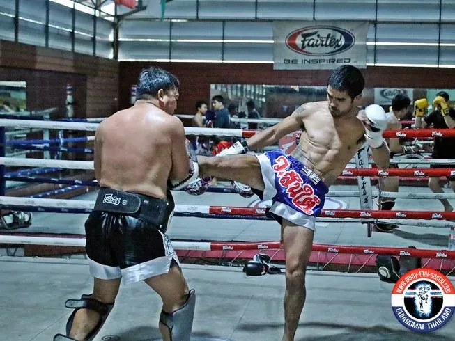 Intermediate pads + spar